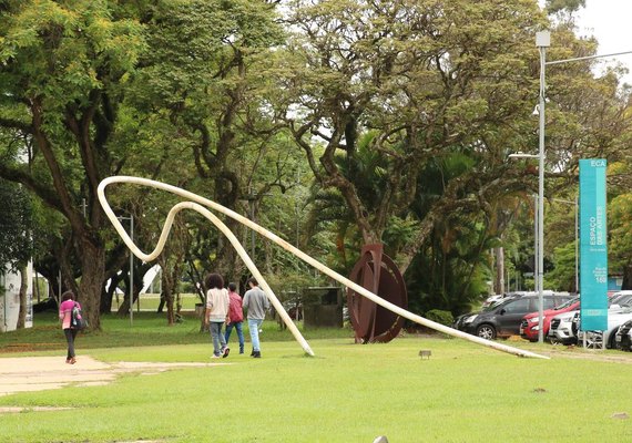 Mais de 55% dos alunos que ingressam na USP são de escolas públicas