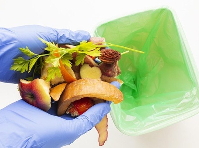 Fome e desperdício de alimentos acendem alerta para a saúde e a sustentabilidade