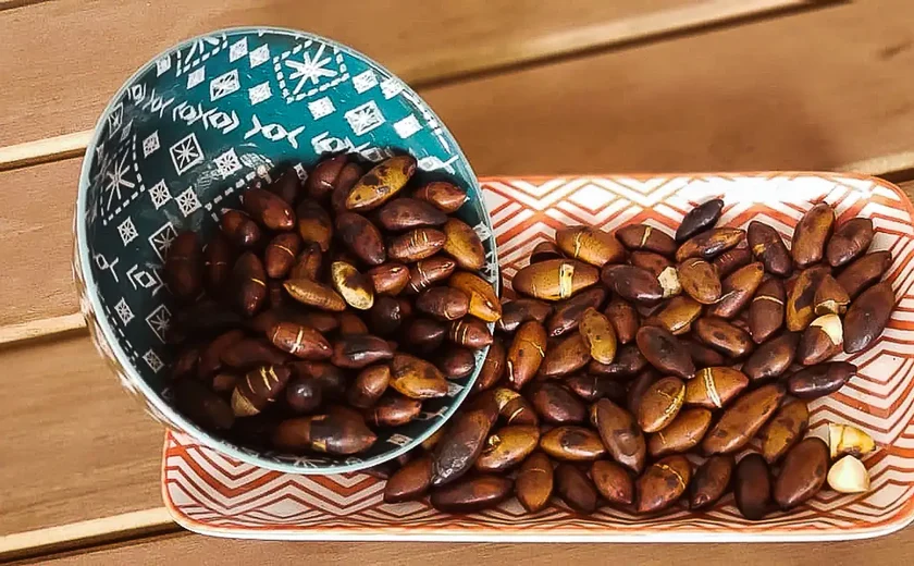 Togo abre mercado para sementes do Brasil; Indonésia permite bovinos vivos