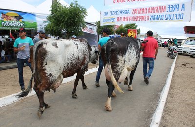 36ª Expo Bacia Leiteira  terá feira da agricultura familiar em parceria com municípios