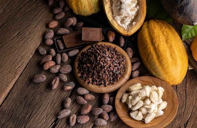 ALE aprova em 1º turno projeto que institui a Política de Incentivo à Produção de Cacau de Qualidade