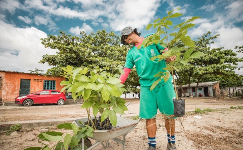 Espaços públicos de Maceió receberam 12 mil mudas de árvores nativas em 2023