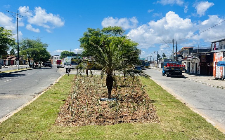 Alurb elimina ponto crônico de descarte de entulhos e revitaliza área com paisagismo