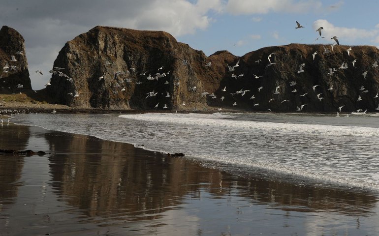 Negociações de paz entre Rússia e Japão dependem do fim do conflito na Ucrânia, avalia analista