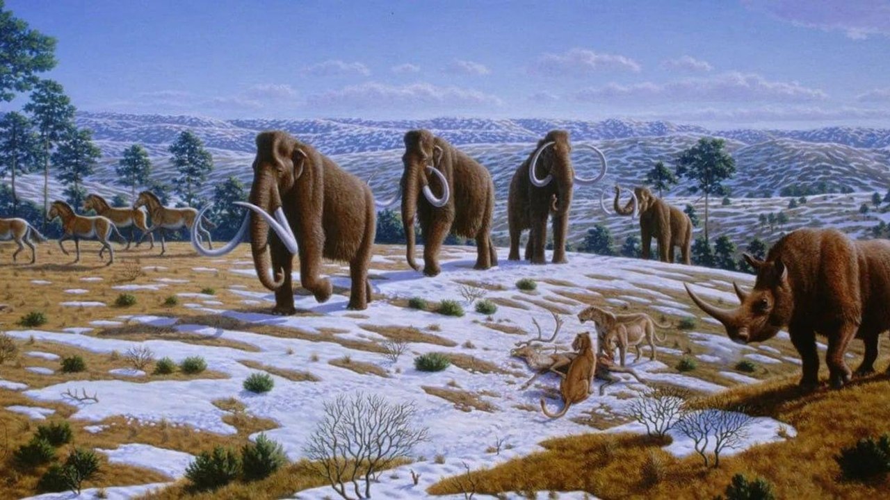 Revisão aponta que provas não confirmam papel humano na extinção de megafauna americana