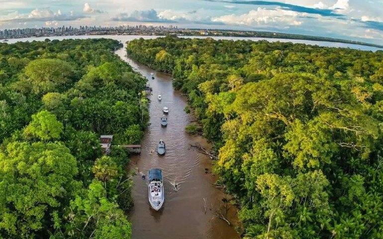 Pesquisadores identificam vestígios de dinossauros na Amazônia