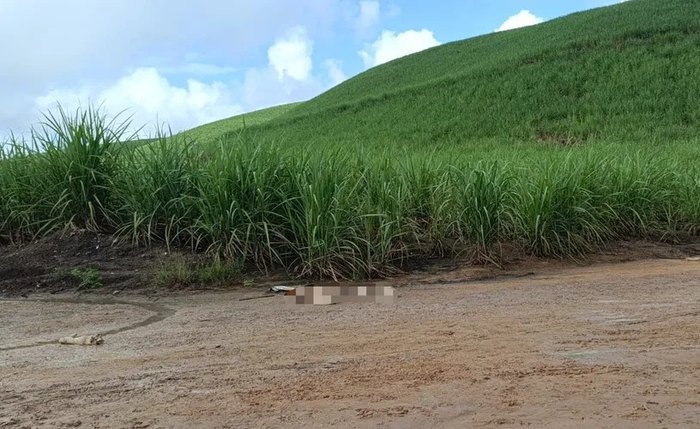 Corpo estava esquartejado em área de mata às margens da Al-413