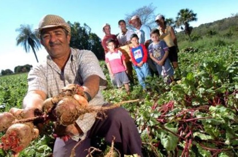 Garantia-safra: agricultores familiares receberão recursos a partir de outubro