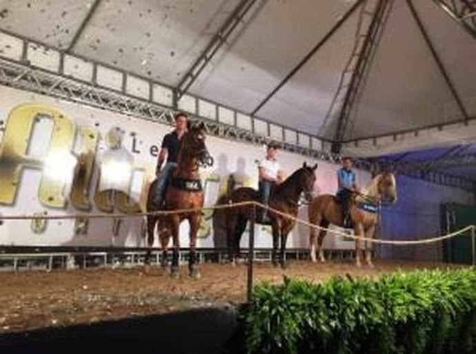 Haras CPMF e Haras MSL recebem convidados de todo nordeste no Leilão Aliança Portal