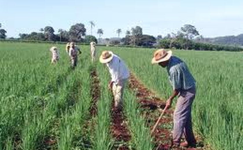 Valor da Produção Agropecuária previsto para 2015 é de R$ 477,5 bilhões