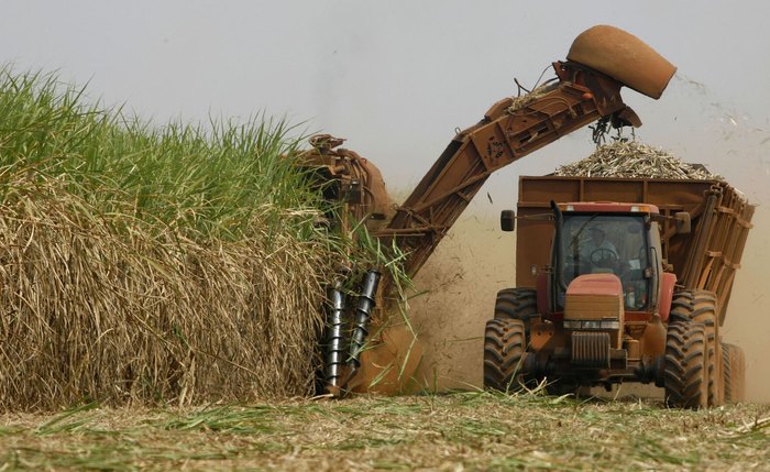 Análise: guerra tarifária cria oportunidade para o agro brasileiro alavancar a reindustrialização Análise: guerra tarifária cria oportunidade para o agro brasileiro alavancar a reindustrialização