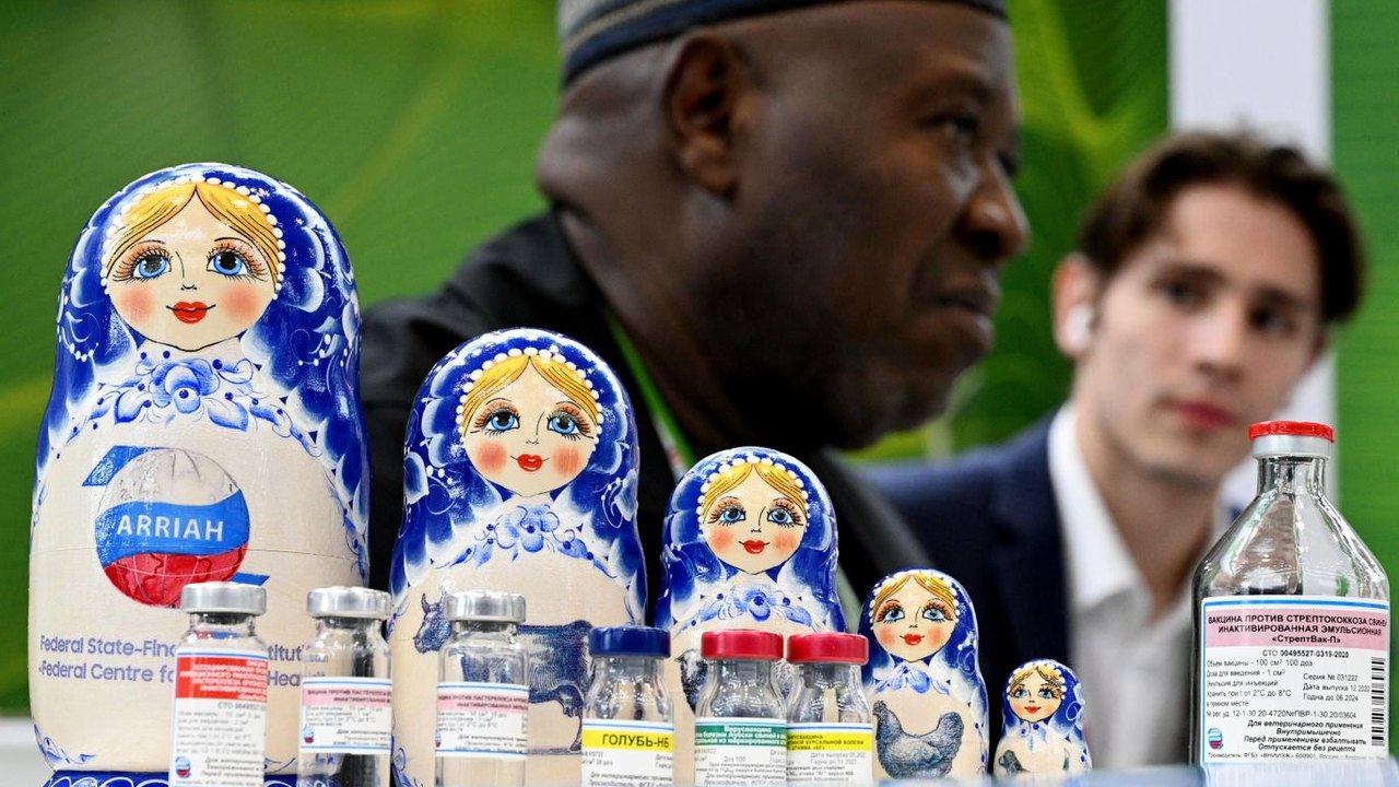 Especialista: russos na África se destacam pelo respeito à cultura local