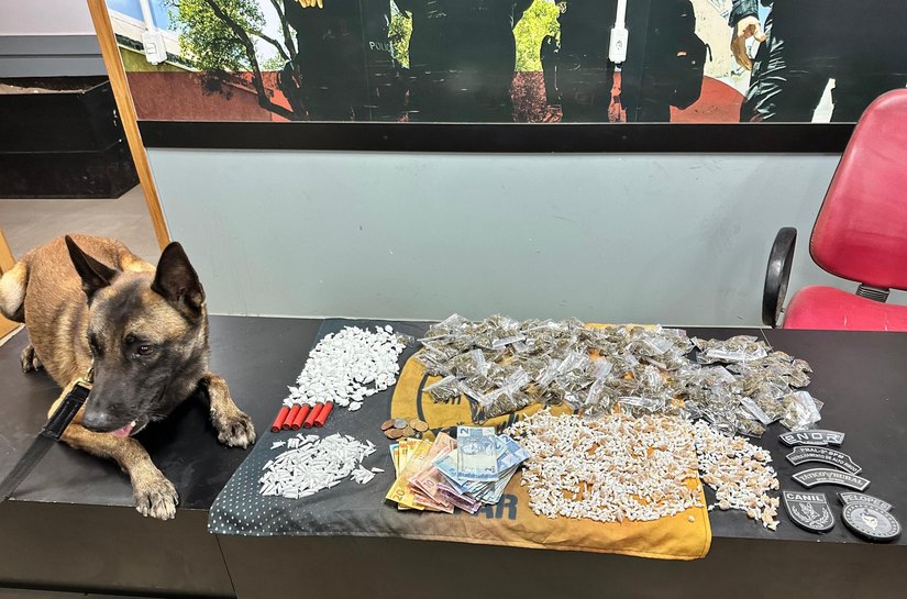 PM apreende cerca de 2.000 pedras de crack, munições e outras drogas em Palmeira dos Índios