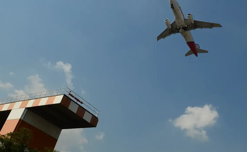 Caso Joca: aéreas estudam rastrear animais transportados em voos