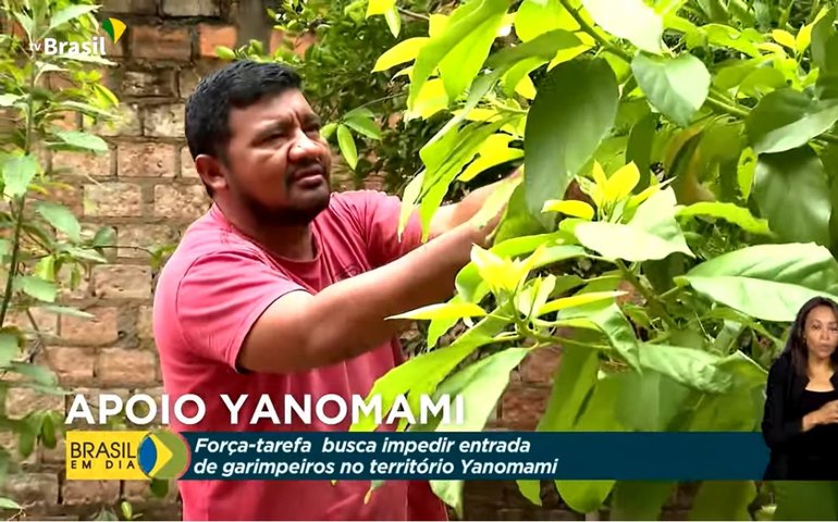 Mortes de bebês Yanomami é dez vezes maior que a média nacional