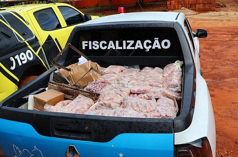 Comercialização clandestina: Fiscalização apreende 400 Kg de carne e ovos de codorna em Arapiraca