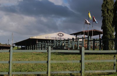Produtores vão se reunir em Alagoas para discutir desenvolvimento da pecuária no Nordeste