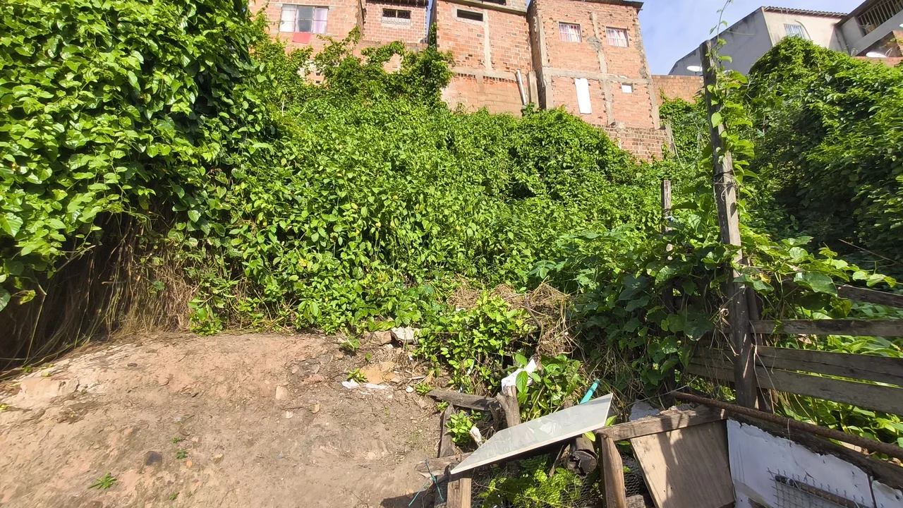 Arapiraca (AL) tem 13 áreas de risco onde vivem mais de mil pessoas