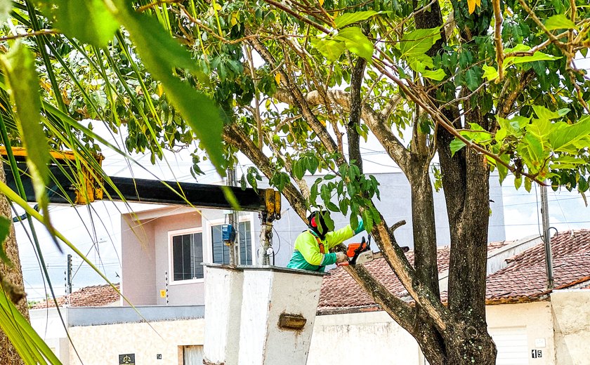 Mutirão de Poda e Supressão de Árvores é Iniciado pela Alurb nos Conjuntos Jardim Royal e Novo Jardim