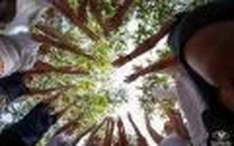 Festival Desapegue-se retorna ao Grajaú e transforma bairro em palco de justiça climática