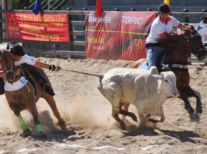 Deputados participam de manifestação em defesa da vaquejada