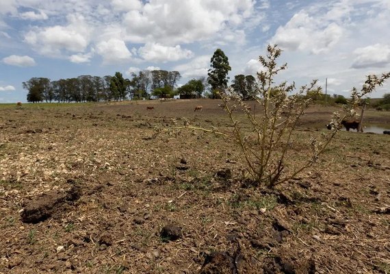 Vetado adiamento de parcelas de dívidas rurais de atingidos por seca ou inundação