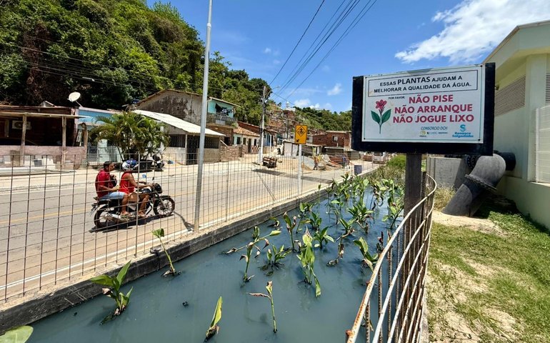 Renasce Salgadinho promove transformação social em Maceió: “Mudança saiu do papel”