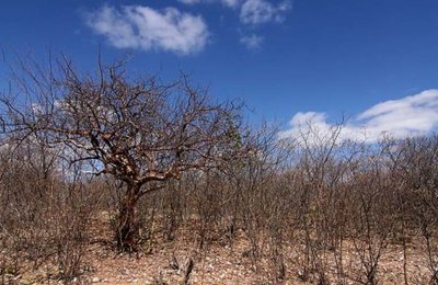 Estado reconhece situação de emergência em 42 municípios