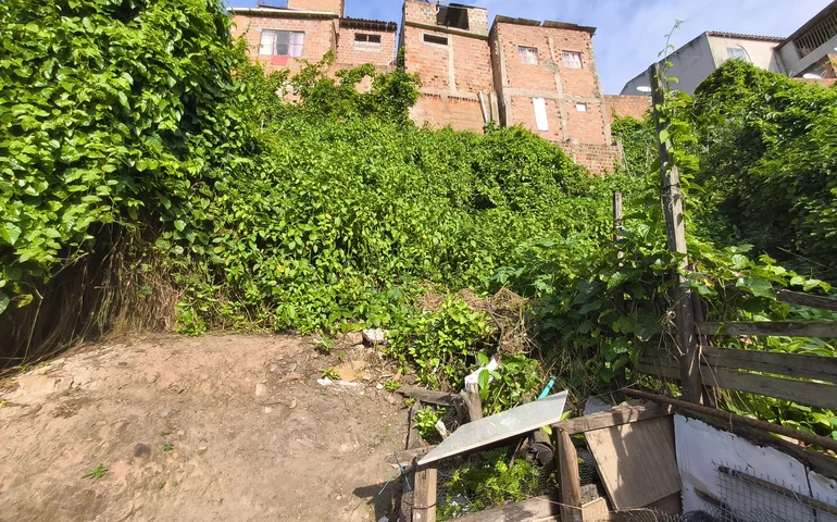 Arapiraca (AL) tem 13 áreas de risco onde vivem mais de mil pessoas