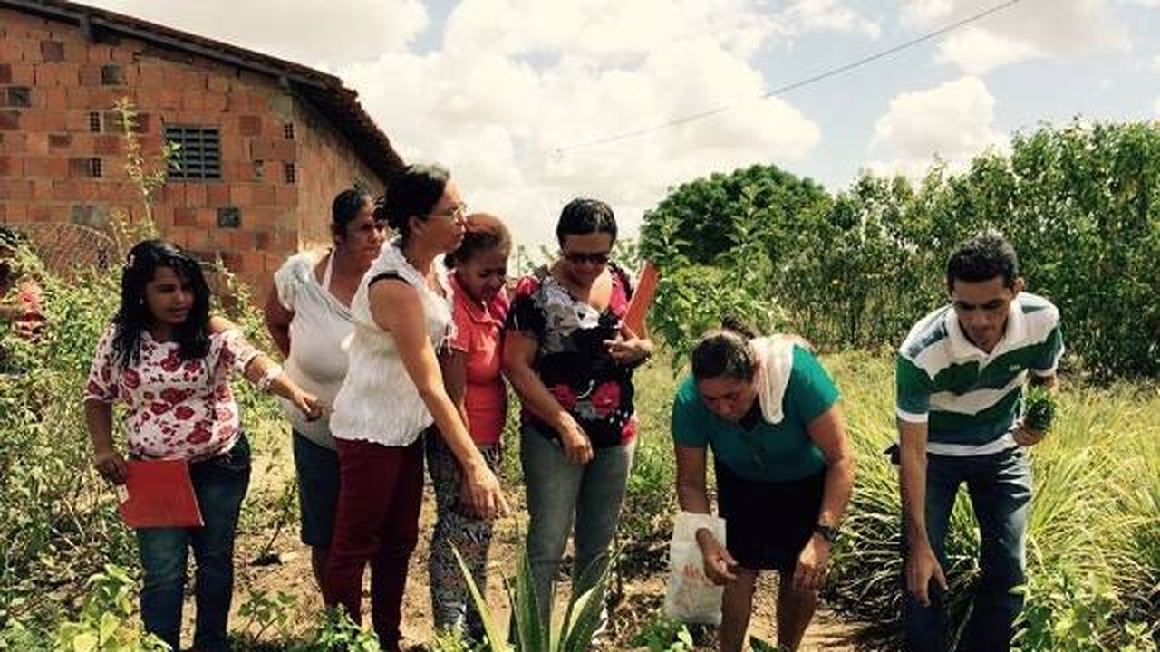 APL Fitoterápicos ensina agricultoras sobre uso correto das plantas medicinais