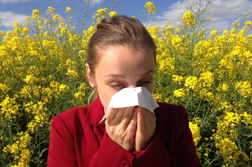 Por que crises de rinite e alergias respiratórias aumentam na primavera? Entenda os fatores e saiba como se proteger