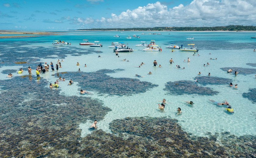 Maragogi está entre as 10 cidades mais buscadas para o Carnaval 2025