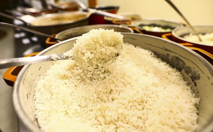 Brasil deixa o Mapa da Fome após 3 anos, aponta relatório da ONU