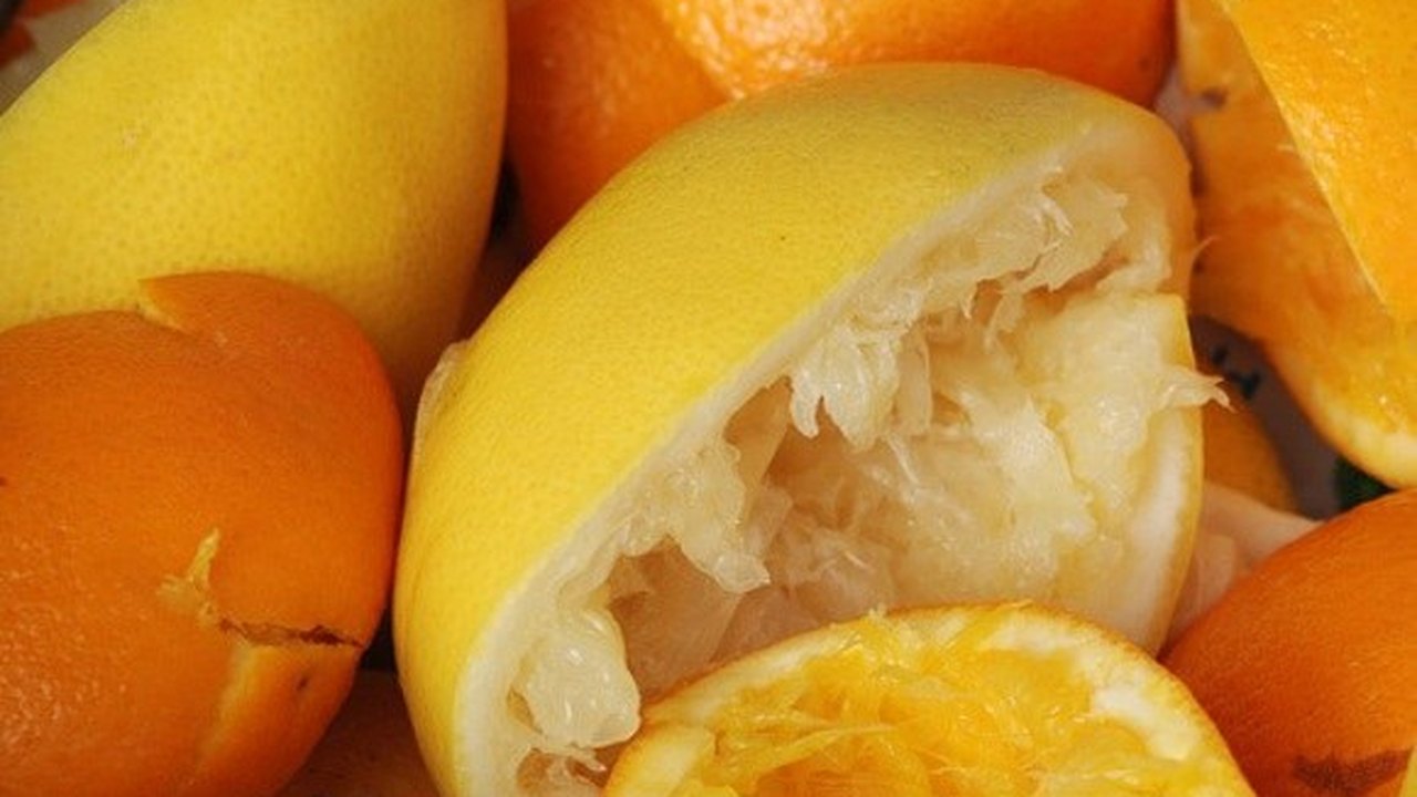 Bagaço da laranja lima pode ser transformado em cachaça