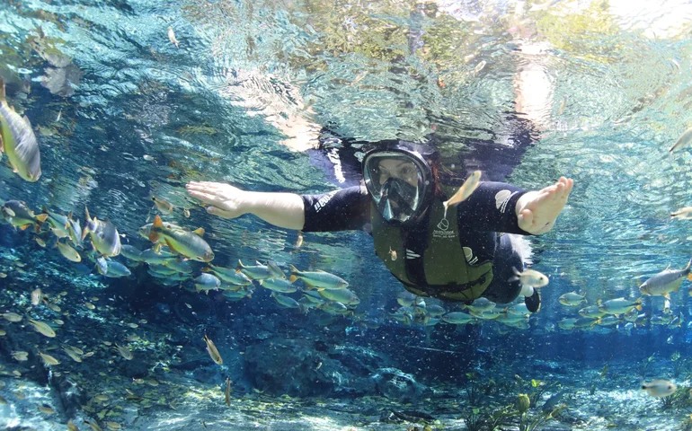 Mato Grosso do Sul leva modelo de turismo sustentável ao debate global sobre clima