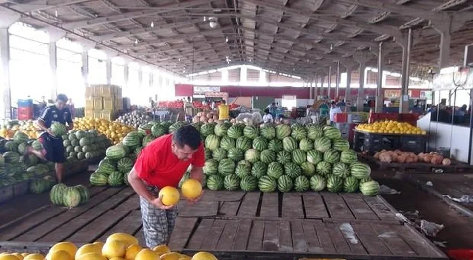 Cerca de 192 mil toneladas de alimentos foram comercializadas na Ceasa/AL em 2023 - Foto: Divulgação