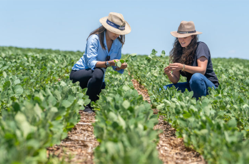 ALE aprova em 1º turno projeto que institui o Dia da Mulher do Agro