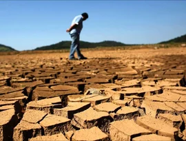 Governo Federal declara emergência em três cidades de Alagoas devido à seca; Palmeira está entre elas