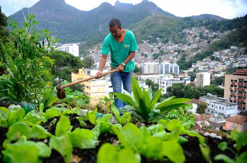 Produção local de alimentos pode melhorar dieta em grandes centros
