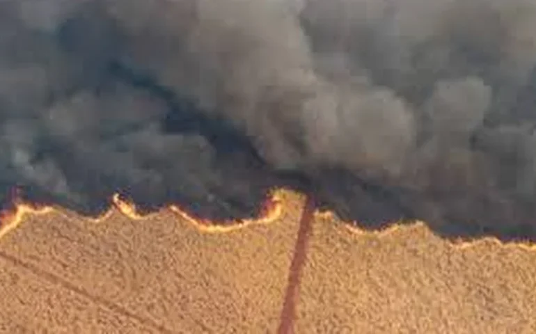 Quem são e o que fizeram os presos suspeitos por incêndios intencionais no interior de SP