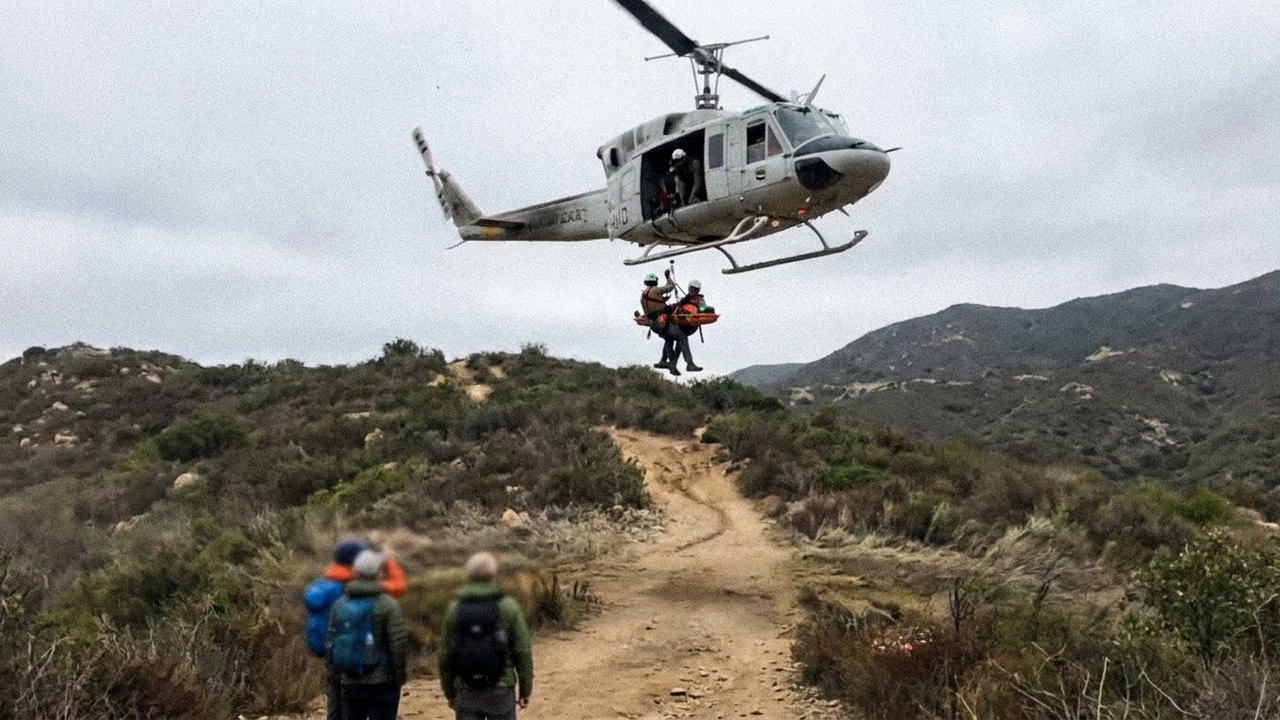 Animador responsável por criar Ariel, Aladdin e Pocahontas é resgatado por helicóptero após passar mal em trilha