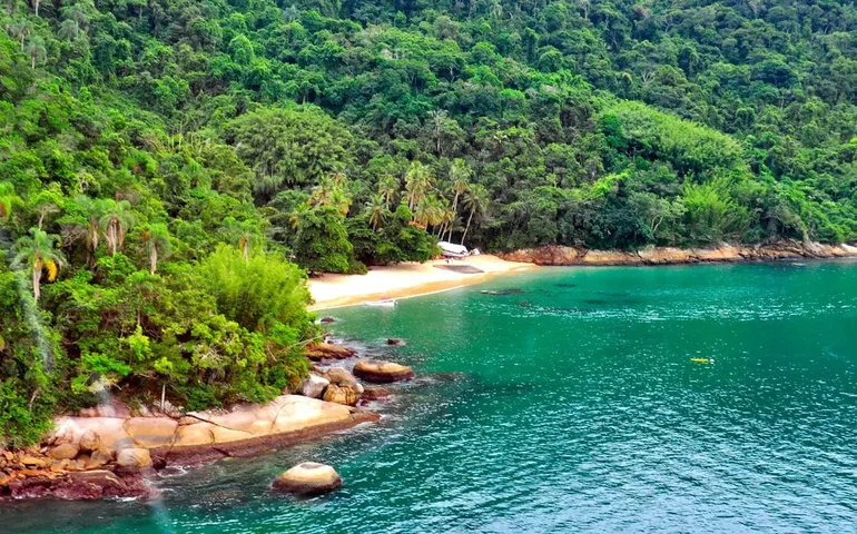Baía da Ilha Grande é santuário de duas espécies de tubarões ameaçadas