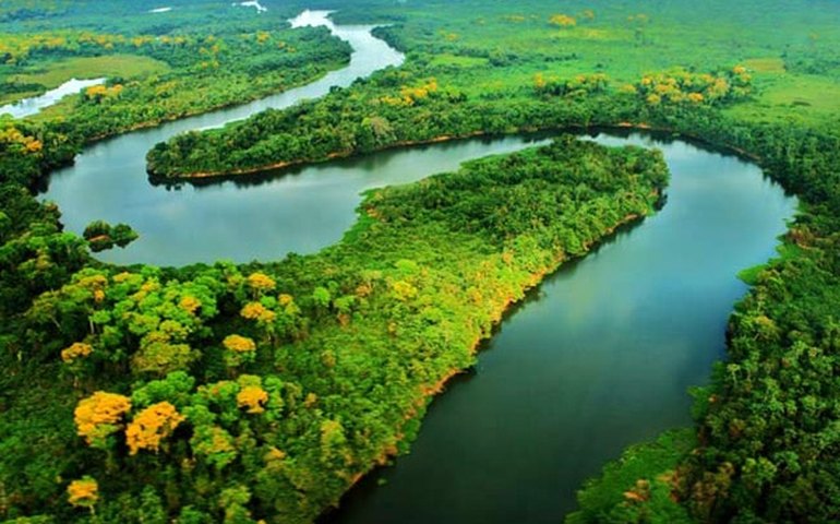 CMA recria Subcomissão do Pantanal e debaterá Fundo Amazônia