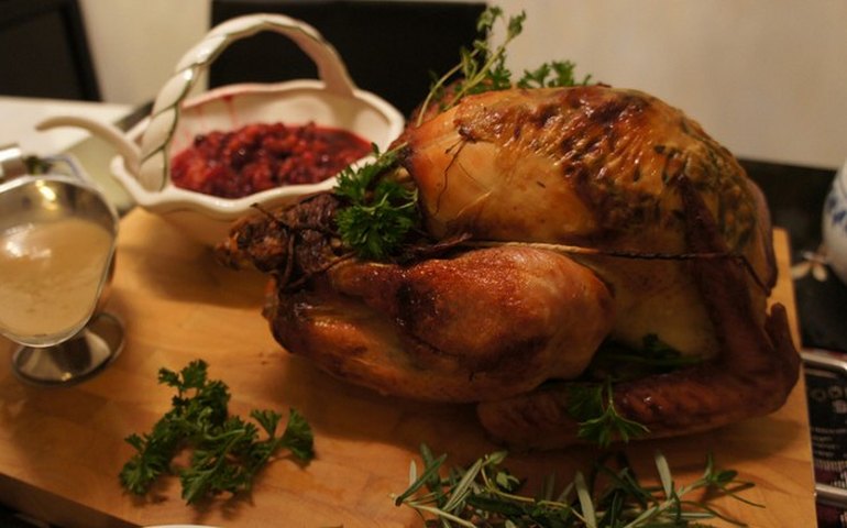 
Famosos focam nos treinos após o Natal: 'Gastei a rabanada', diz Fernanda Rodrigues