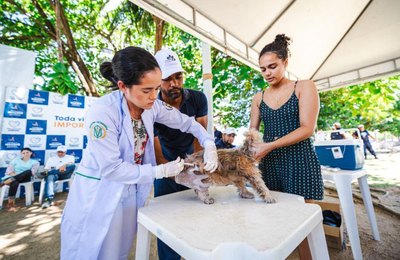 Saúde vacina cães e gatos do 2º Distrito Sanitário no próximo fim de semana