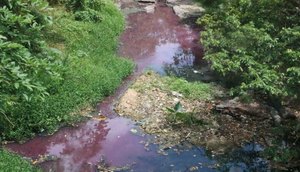 Corpo é encontrado enterrado em cova rasa às margens do Rio Piauitinga no Sul Sergipano