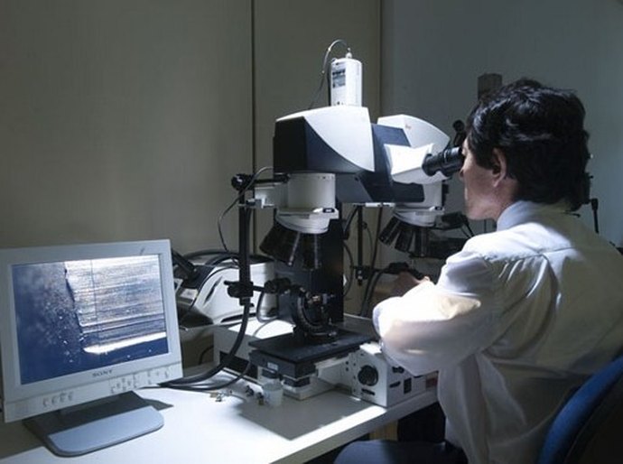 76% de perícias realizadas pelos IMLs de Alagoas são em pessoas vivas