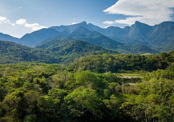 Para preservar Mata Atlântica, projeto cria rota turística em três estados