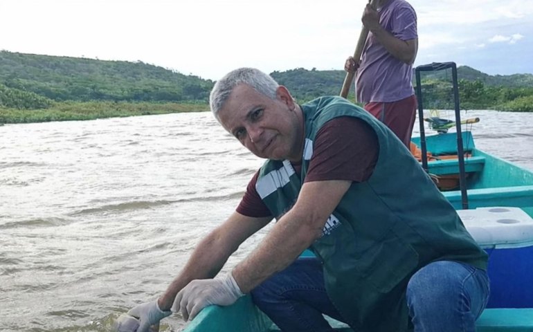 Instituto do Meio Ambiente investiga mortandade de peixes em Jequiá da Praia