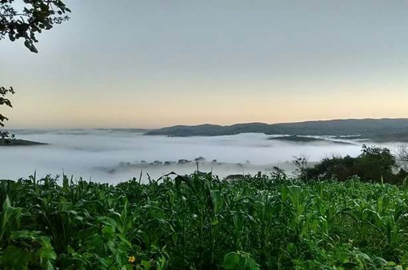 Municípios alagoanos registram baixa temperatura nesta sexta-feira (14)